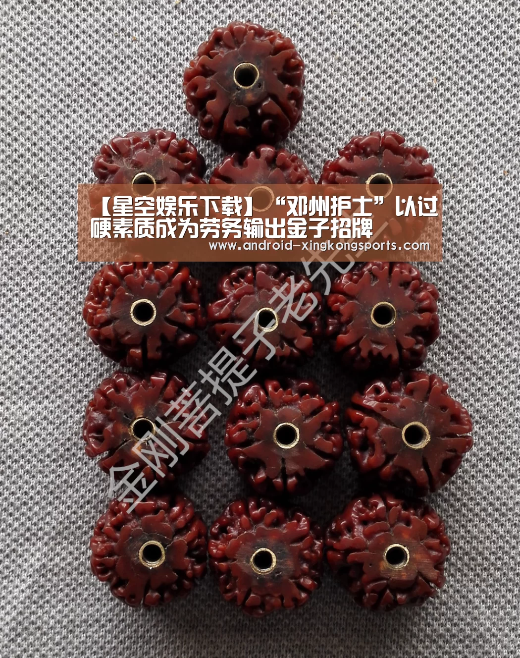【星空娱乐下载】“邓州护士”以过硬素质成为劳务输出金子招牌